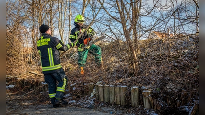 Mit der Kettensäge bereiten die Feuerwehrmänner den Bauplatz für das Feuerwehrhaus vor. (Foto: FFW Gilching)