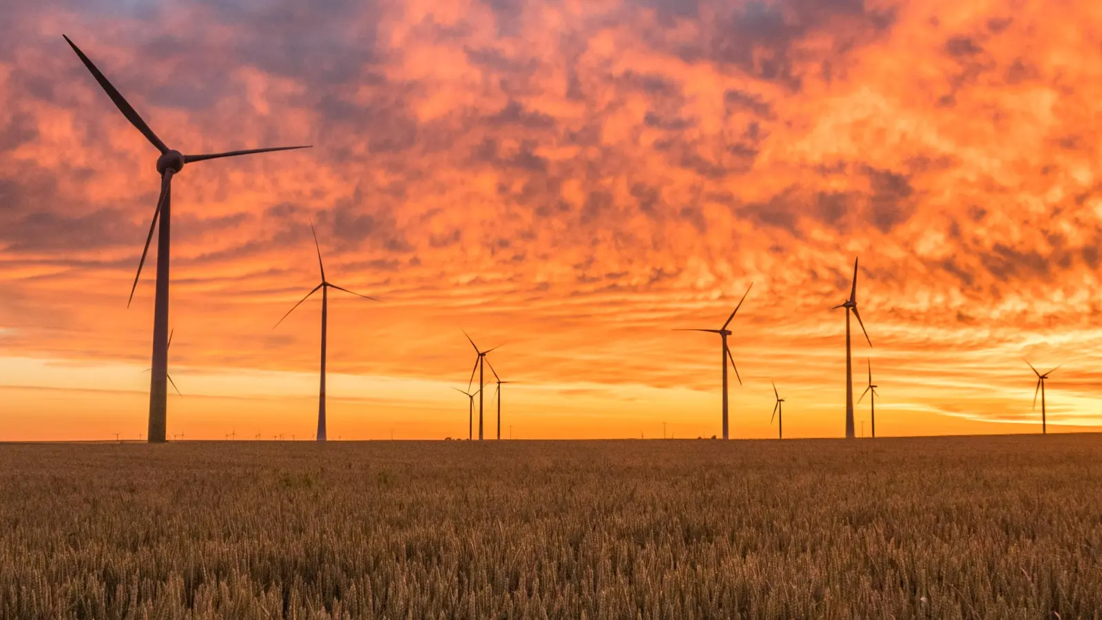 Störungen im Stromnetz, das die Haushalte erreicht, sind gesunken. (Foto: Karsten Wuerth / unsplash)