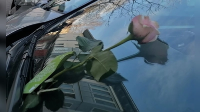 Richtig geparkt? Dann gibt&#39;s am Valentinstag eine Rose an die Windschutzscheibe. (Foto: ZV KD Oberland)