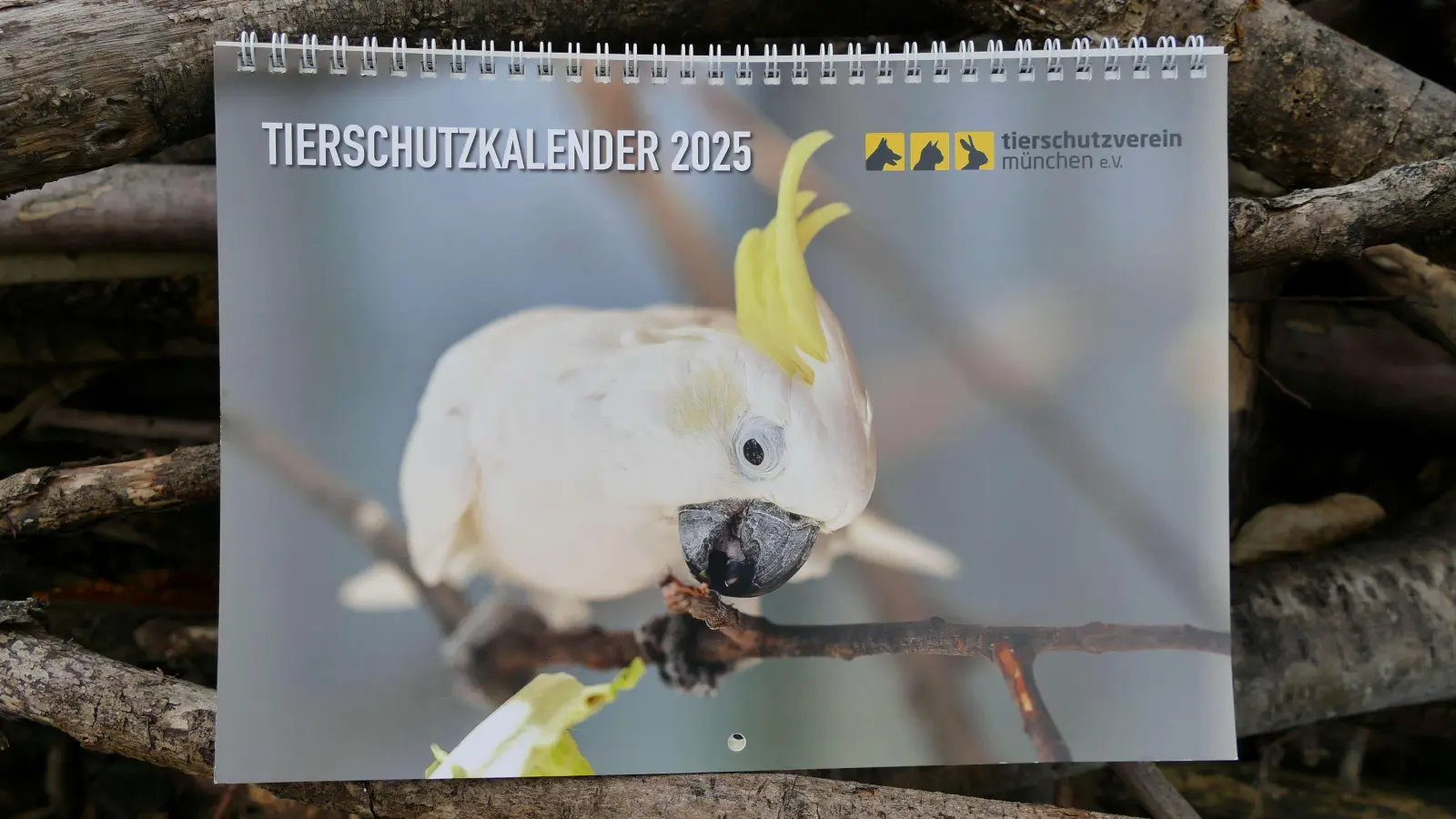 Auf der Suche nach einem Weihnachtsgeschenk? Der Tierschutzkalender 2025 ist ab sofort für 12 Euro (zzgl. Porto) erhältlich. (Foto: Tierschutzverein München)