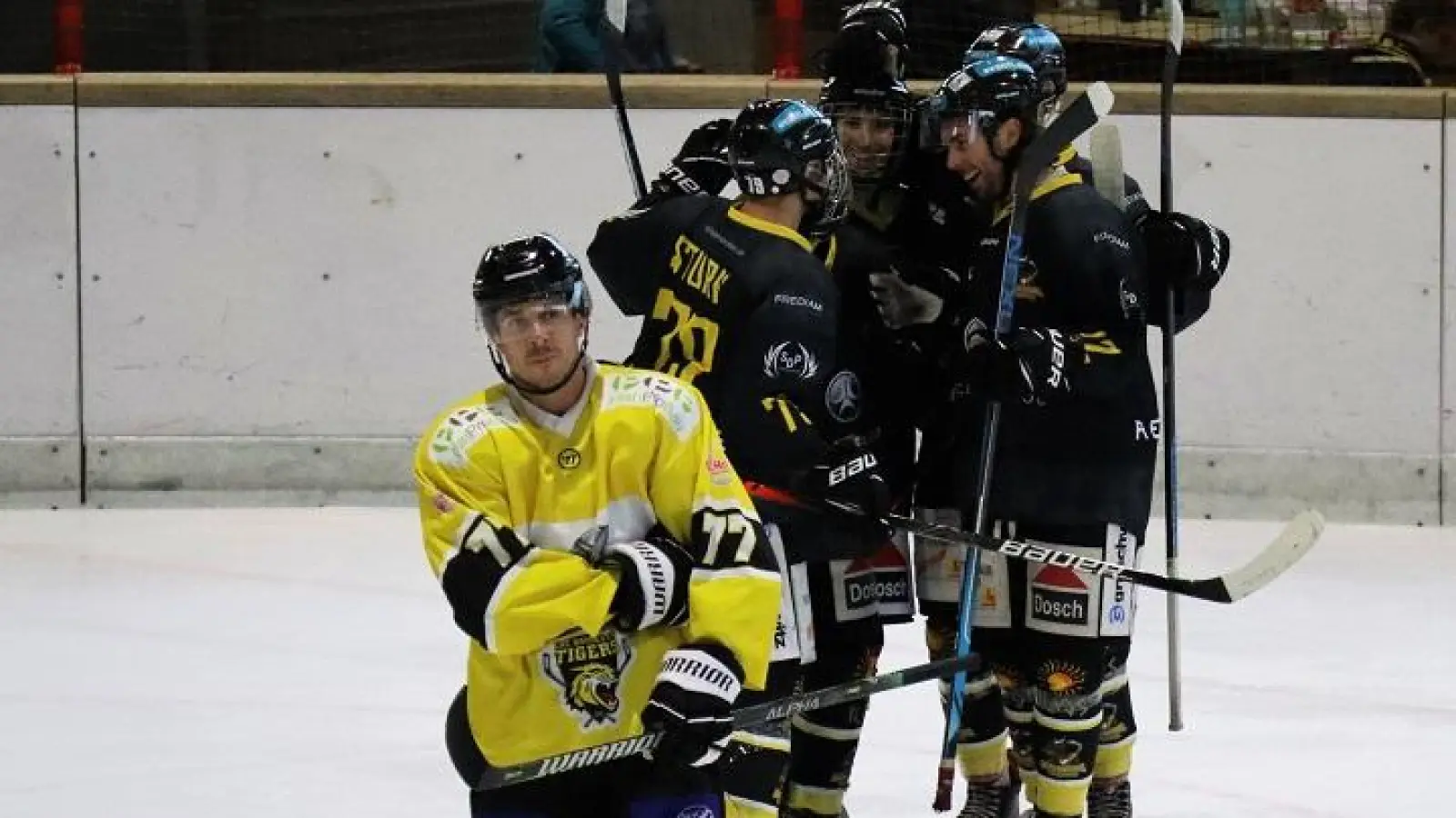 Gewinner auf dem Eis: Die Wanderers beim Spiel gegen den VER Selb.  (Foto: Wolfgang Maisch)