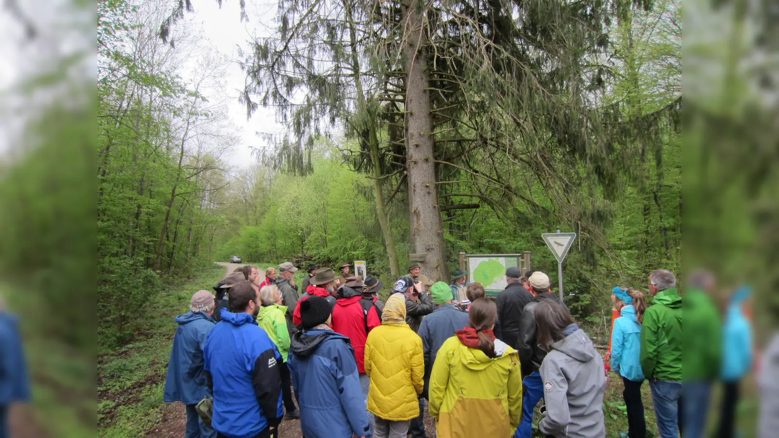 Im Rahmen der BayerntourNatur fand vor kurzem eine Waldwanderung im Ebersberger Forst bei Forstinning mit Dr. Heinz Utschig statt. (Foto: BI St2080)