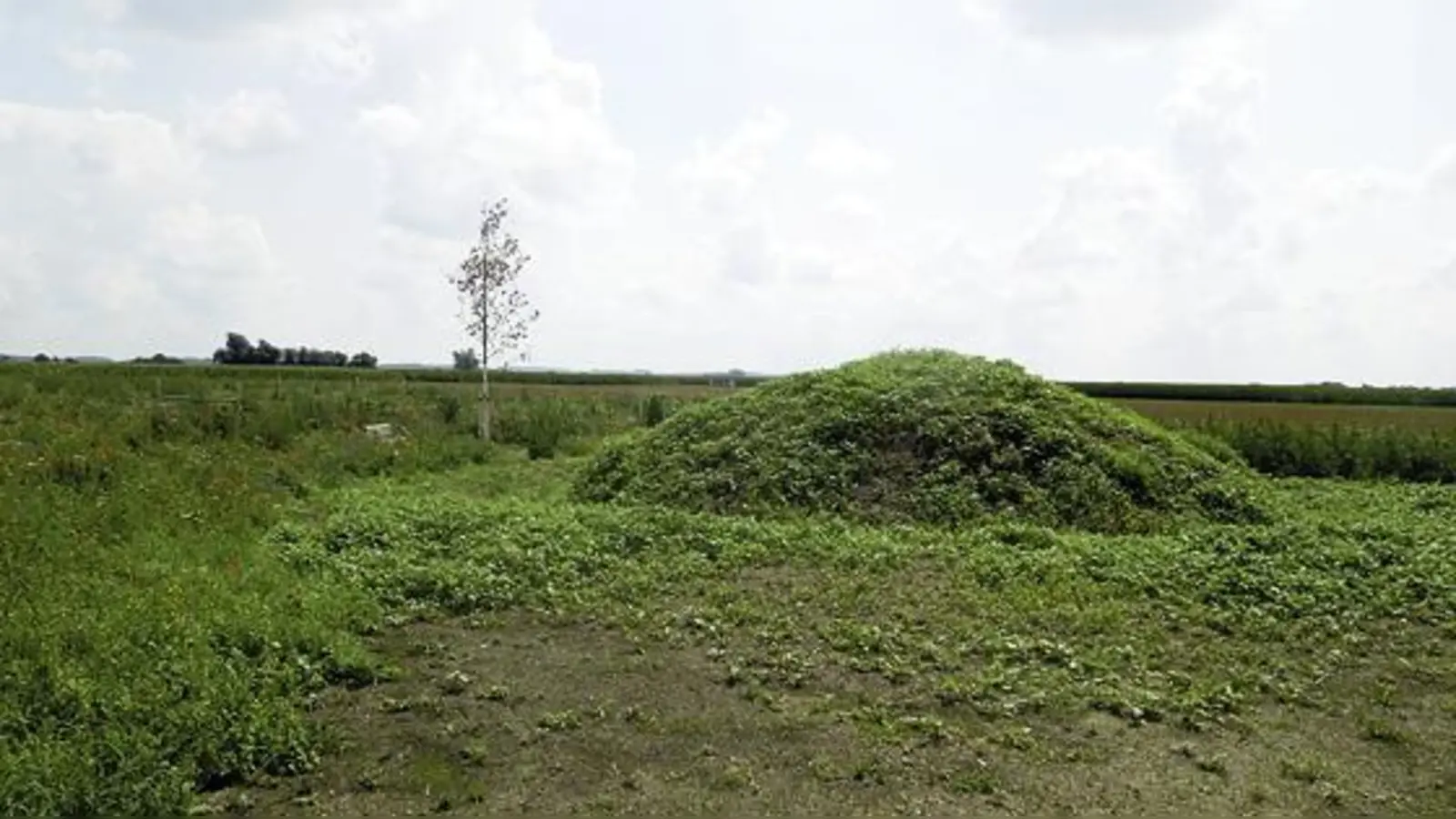 Zum Tag des offenen Denkmals am Sonntag, 14. September, wird um 11 Uhr der Info-Punkt am größten Grabhügelfeld im Erdinger Land offiziell eröffnet. 	  (Foto: Christian Wanninger)