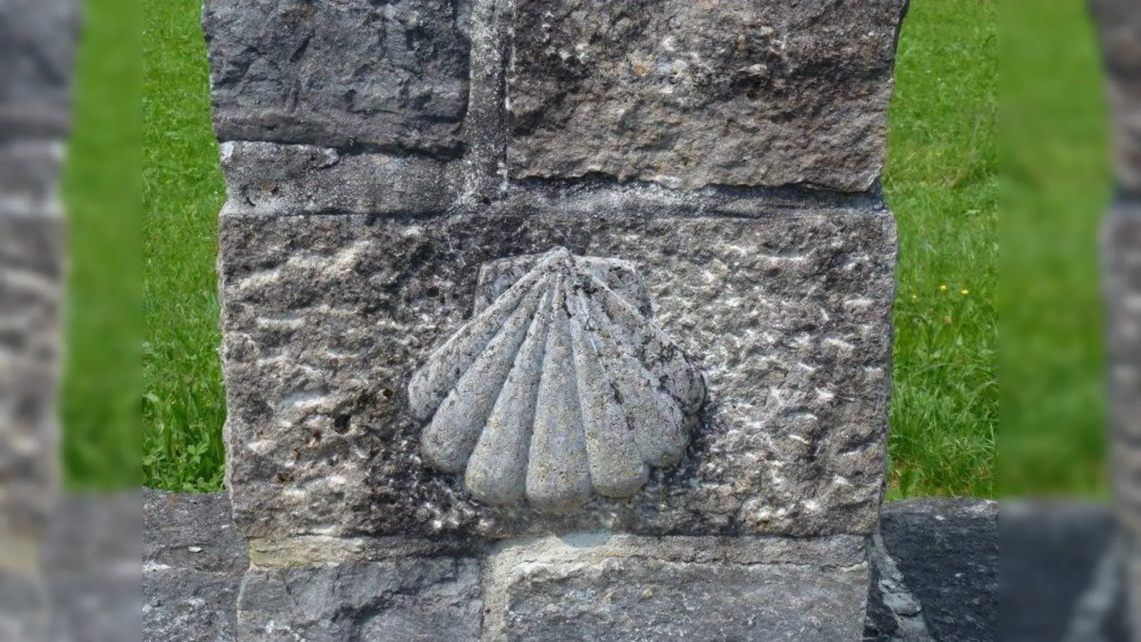 Die Jakobsmuschel ist das Symbol des Hl. Jakobs, des Schutzpatrons der Pilger. (Foto: Gila Hanssen/ pixelio.de)