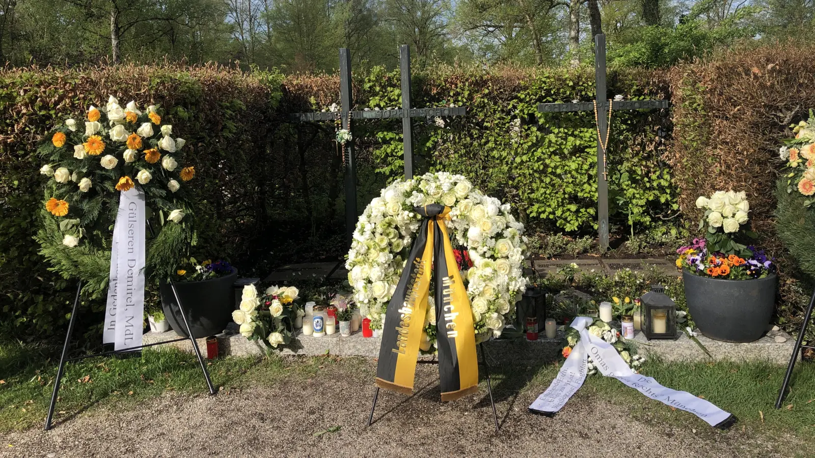 Das Grab von Hans und Sophie Scholl sowie von Christoph Probst kann man auf Friedhof an der Stadelheimer Straße besuchen.  (Foto: hw)