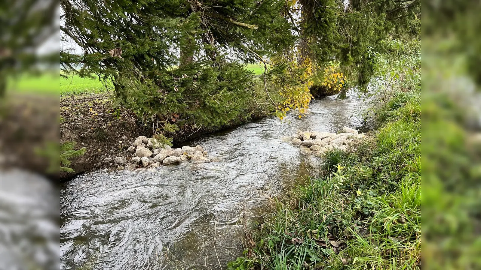 Kleine Veränderung – große Wirkung: durch sogenannte Buhnen wird Fließrichtung und Geschwindigkeit des Wassers ein wenig verändert. So entstehen Lebensräume für Fische, Insektenlarven und andere Organismen. Sie bieten Schutz, Nahrung und geeignete Laichplätze.  (Foto: Gemeinde Alling)