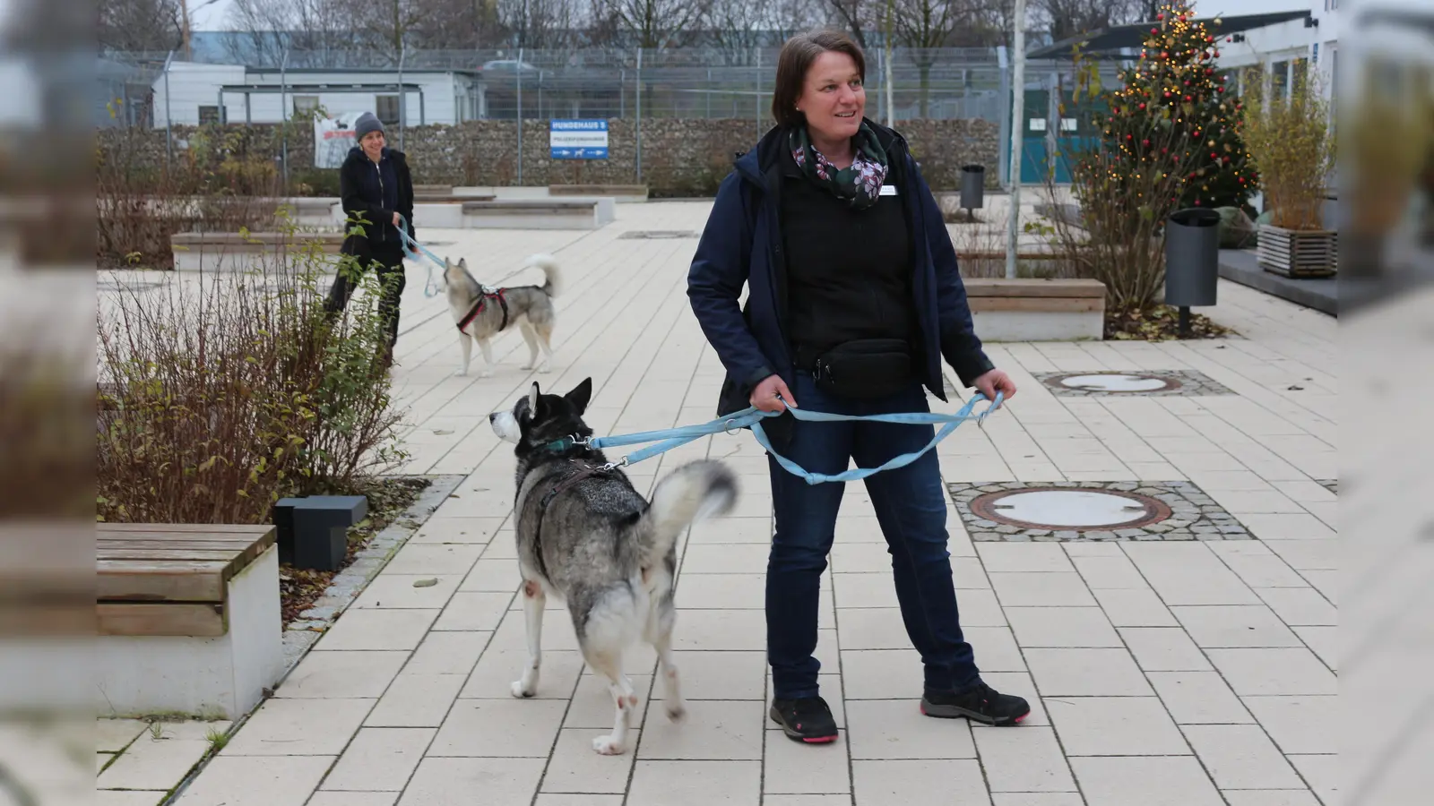 Im Anschluss an die Theorie darf das Erlernte gleich ausprobiert werden. (Foto: Tierschutzverein München)