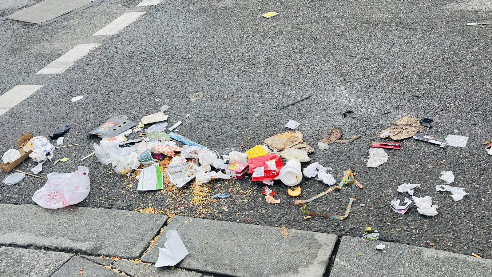 Beim Ramadama wird von Freiwilligen der achtlos weggeworfene Müll eingesammelt. (Foto: hw)