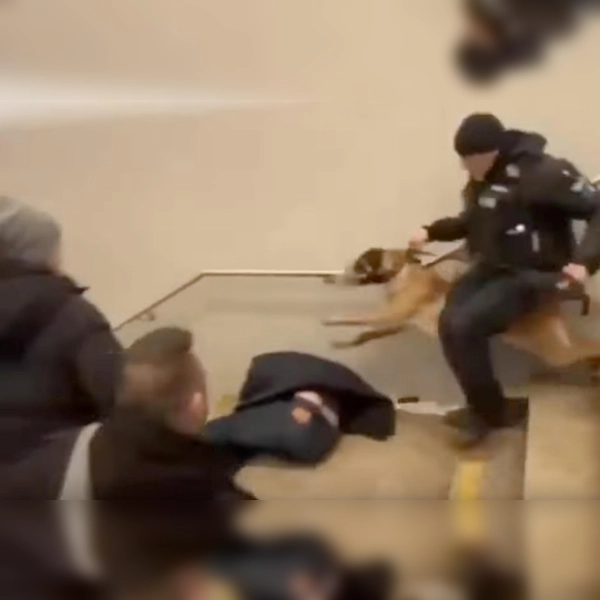 Attacke mit Hund: Bundespolizei in Saarbrücken. (Foto: Screenshot Video)