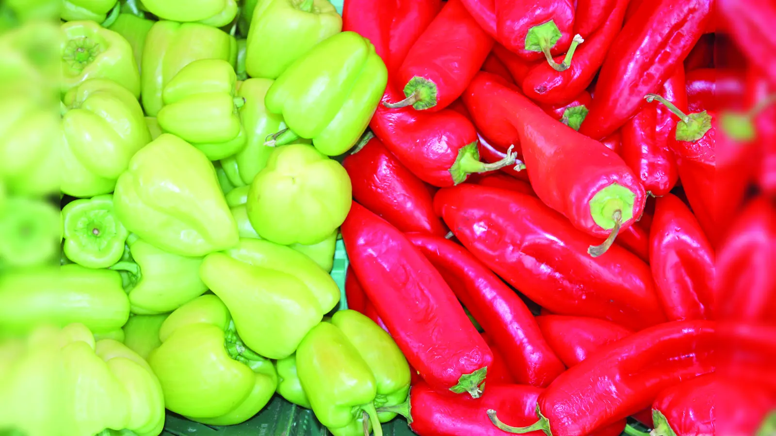 Paprika enthalten mit durchschnittlich 128 mg pro 100 g Frucht relativ viel Vitamin C. Die Peperoni ist eine von vielen Paprika-Sorten. (Foto: job)