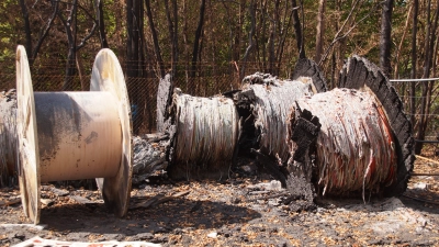 Das Feuer zerstörte nicht nur die Kabel, die demnächst verlegt werden sollten. Auch etliche Bäume nahmen Schaden. (Foto: job)