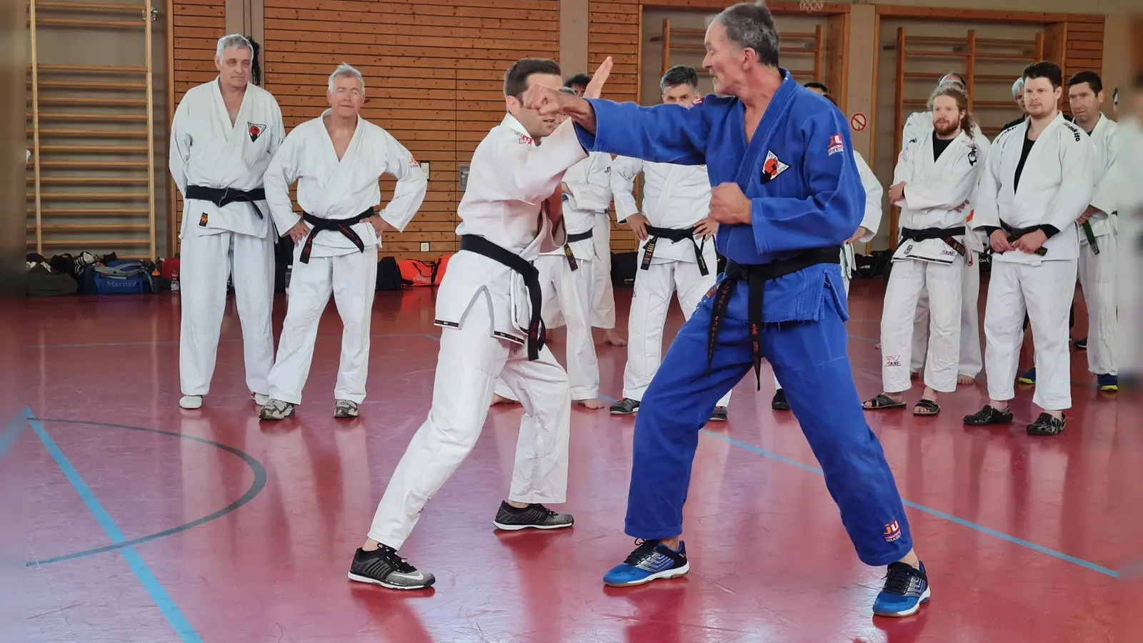 Robert Schaffer (blauer Anzug, 5. Dan, SV Esting) demonstriert Möglichkeiten nach einem abgewehrten Fauststoß. (Foto: Uwe Wolff/SCUG)