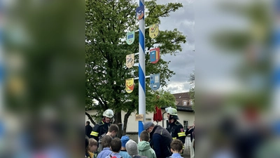 Auch ein Maibaum wurde aufgestellt. Die Schilder waren von den Kindern gestaltet worden. (Foto: Grundschule)