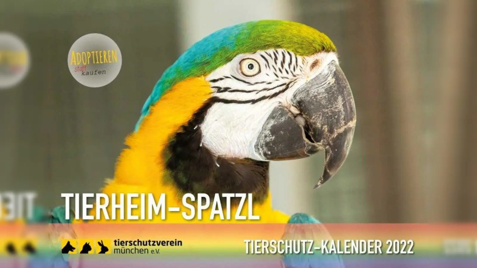 Seit Oktober ist der neue Kalender 2022 des Tierschutzvereins München erhältlich. (Foto: Hansi Trompka/Tierschutzverein München.)