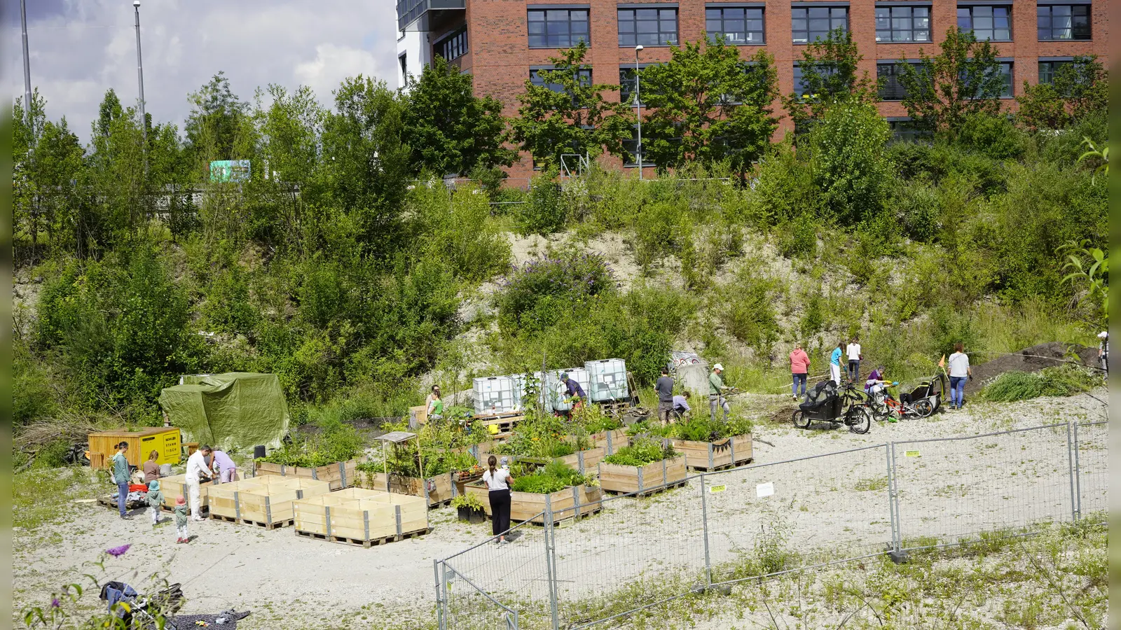 Die Hochbeete am MK2-Gelände sollen auf 60 wachsen. (Foto: Green City/ Julia Langhof)