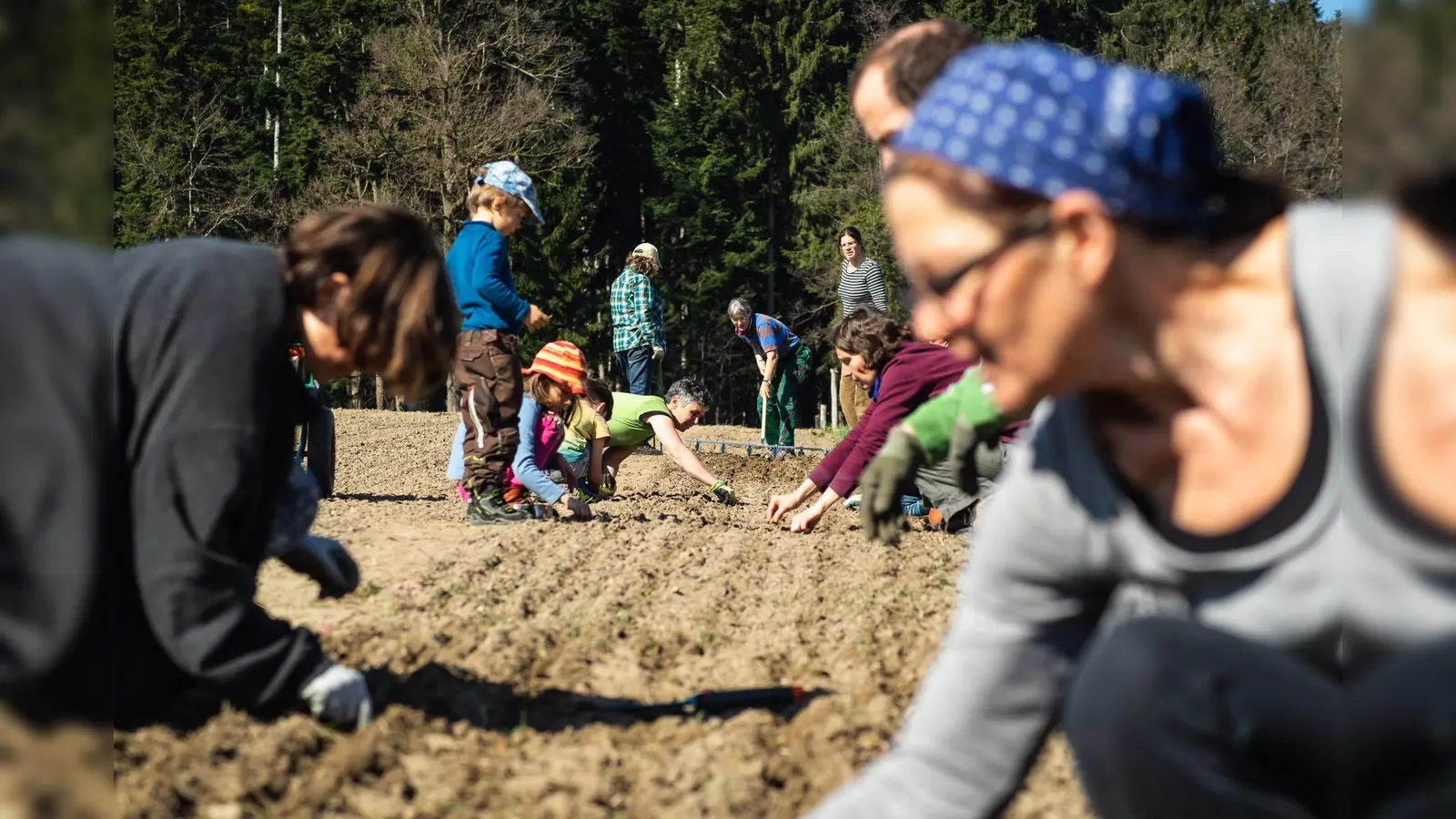 Seit eineinhalb Jahren gibt es nun auch eine Solidarische Landwirtschaft zwischen Glonn und Feldkirchen-Westerham. (Foto: VA )