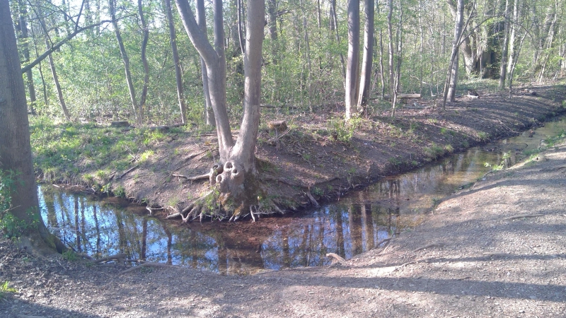 Das Hartmannshofer Bächl läuft aktuell nur noch über eine Strecke von etwa 3,5 Kilometer offen.. (Archivbild: bas)