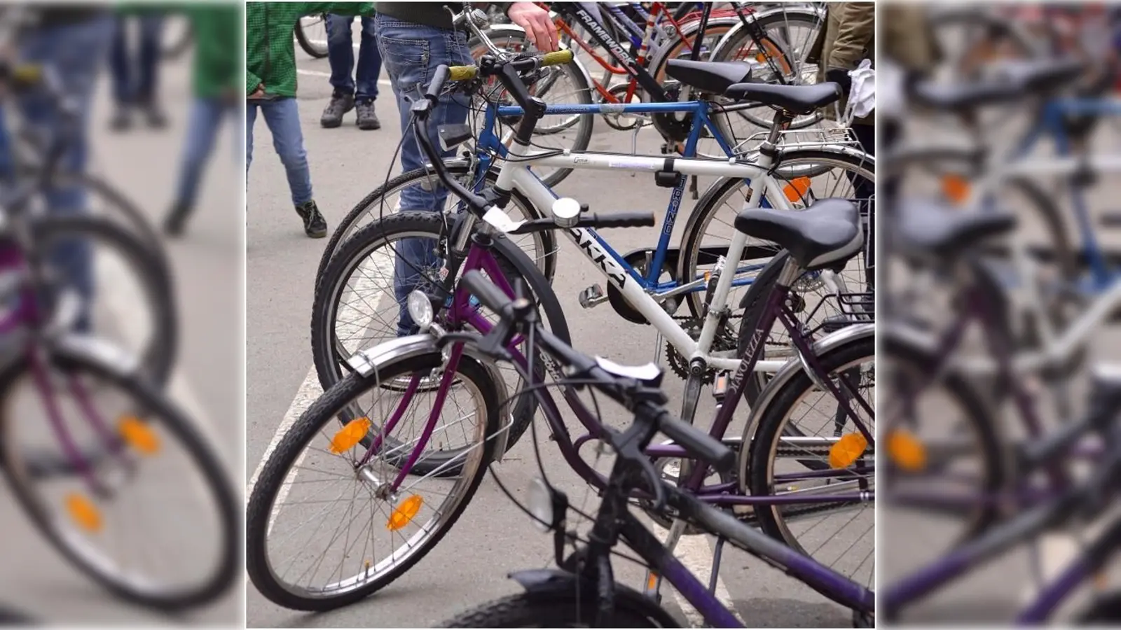 Verkauft werden können Radl in allen Größen. (Foto: VA)