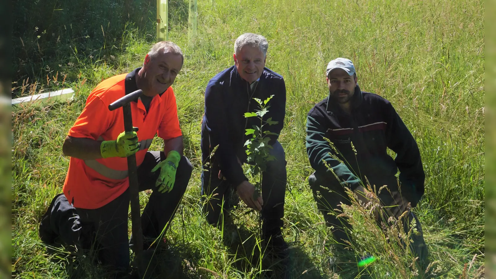 Packten bei der Pflanzaktion gemeinsam an (von links): Bauhofleiter Franz Heiß, Bürgermeister Stefan Joachimsthaler und Projektmanager der Initiative Zukunftswald, Sebastian Winter, vom Amt für Ernährung, Landwirtschaft und Forsten Fürstenfeldbruck. (Foto: Gemeinde Alling)