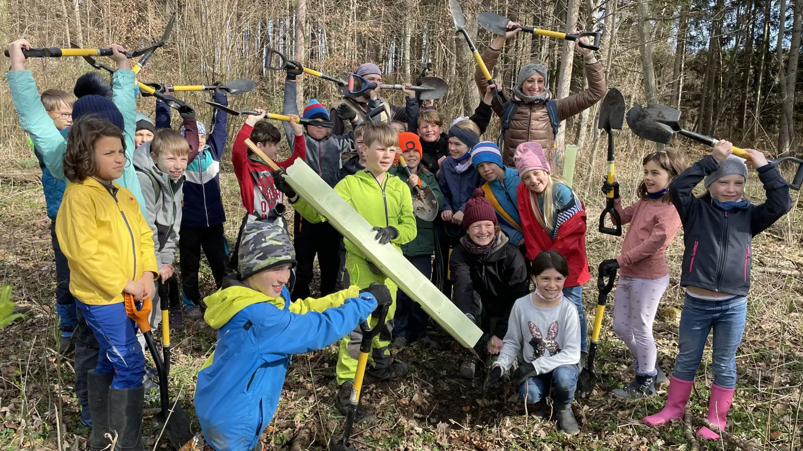 Die Kinder der Klasse 3b haben Elsbeeren im Grünsinker Wald gepflanzt.  (Foto: pst)