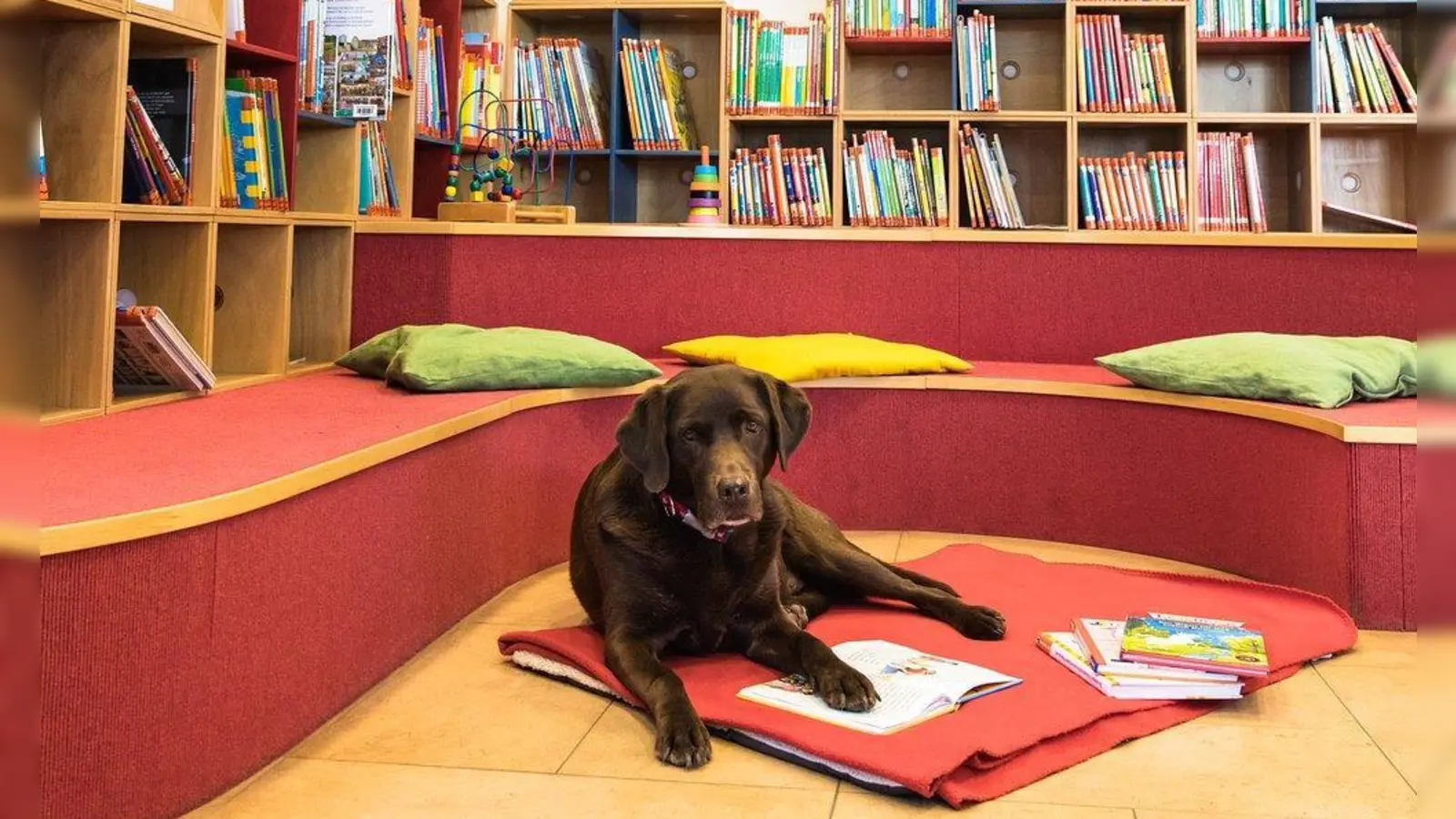 Lesehund Lotti hilft Grundschulkindern ihre Angst vor dem Vorlesen zu überwinden und ist eine prima Zuhörerin. (Foto: Gemeindebibliothek Krailling)