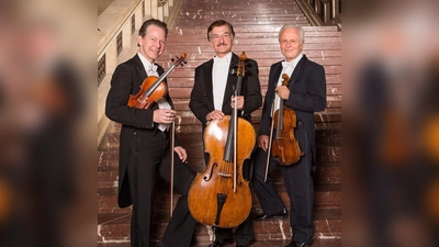 Freuen sich auf das Schlosskonzert (v.l.): Ingolf Turban, Reiner Ginzel und Jürgen Weber. (Foto: Holzinger+Scharfenberg)