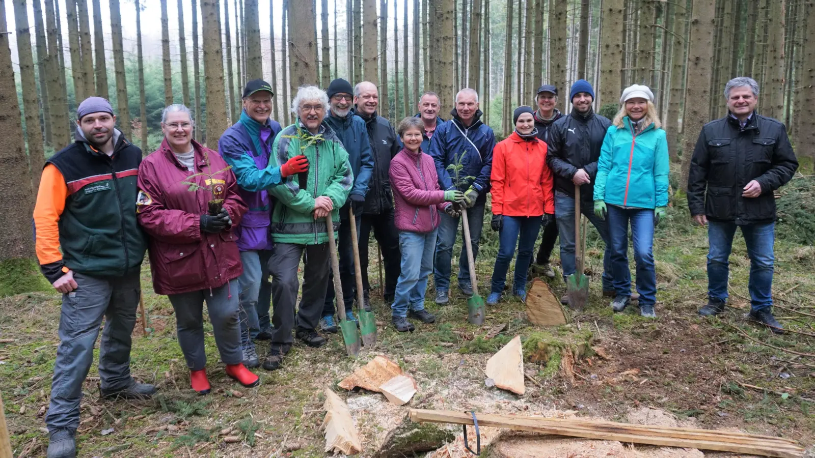 Im Allinger Gemeindewald wurden 120 Weißtannen gepflanzt. (Foto: Gemeinde Alling)