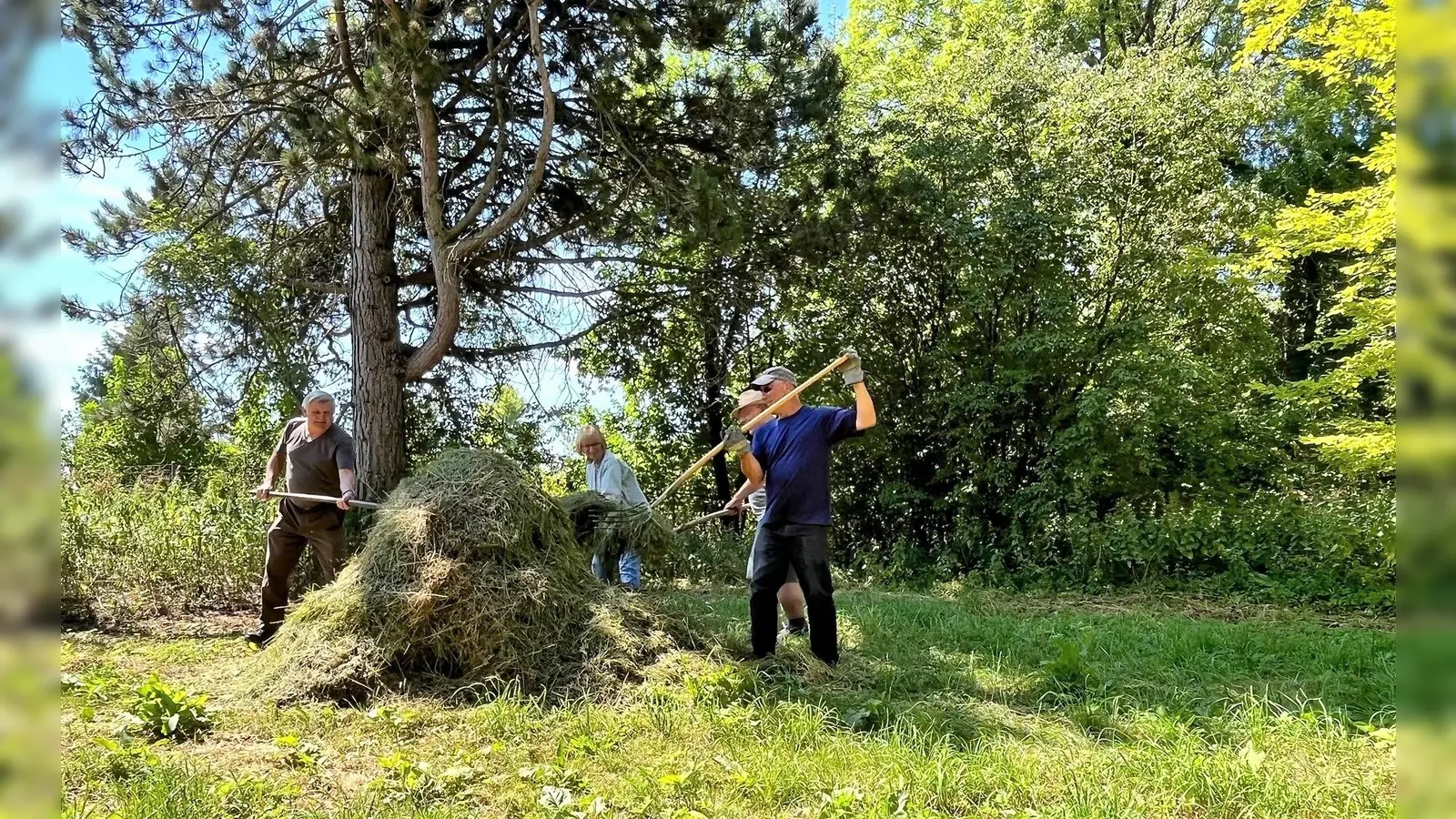 Vorsichtig per Hand wird das Mähgut mit dem Samen für die neue Blumenwiese ausgebracht. (Foto: SG / Gemeinde Karlsfeld)