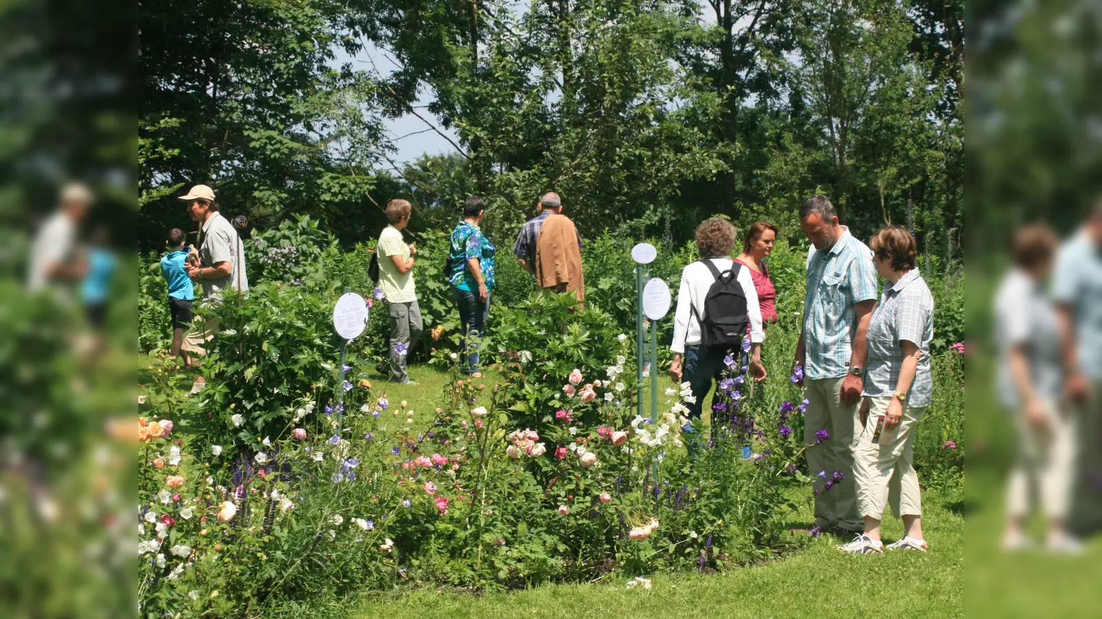 Flanieren zwischen bunten Blumenbeeten können alle Gartenliebhaber am Sonntag, 10. Juli, von 13 bis 18 Uhr. (Foto: AVC)