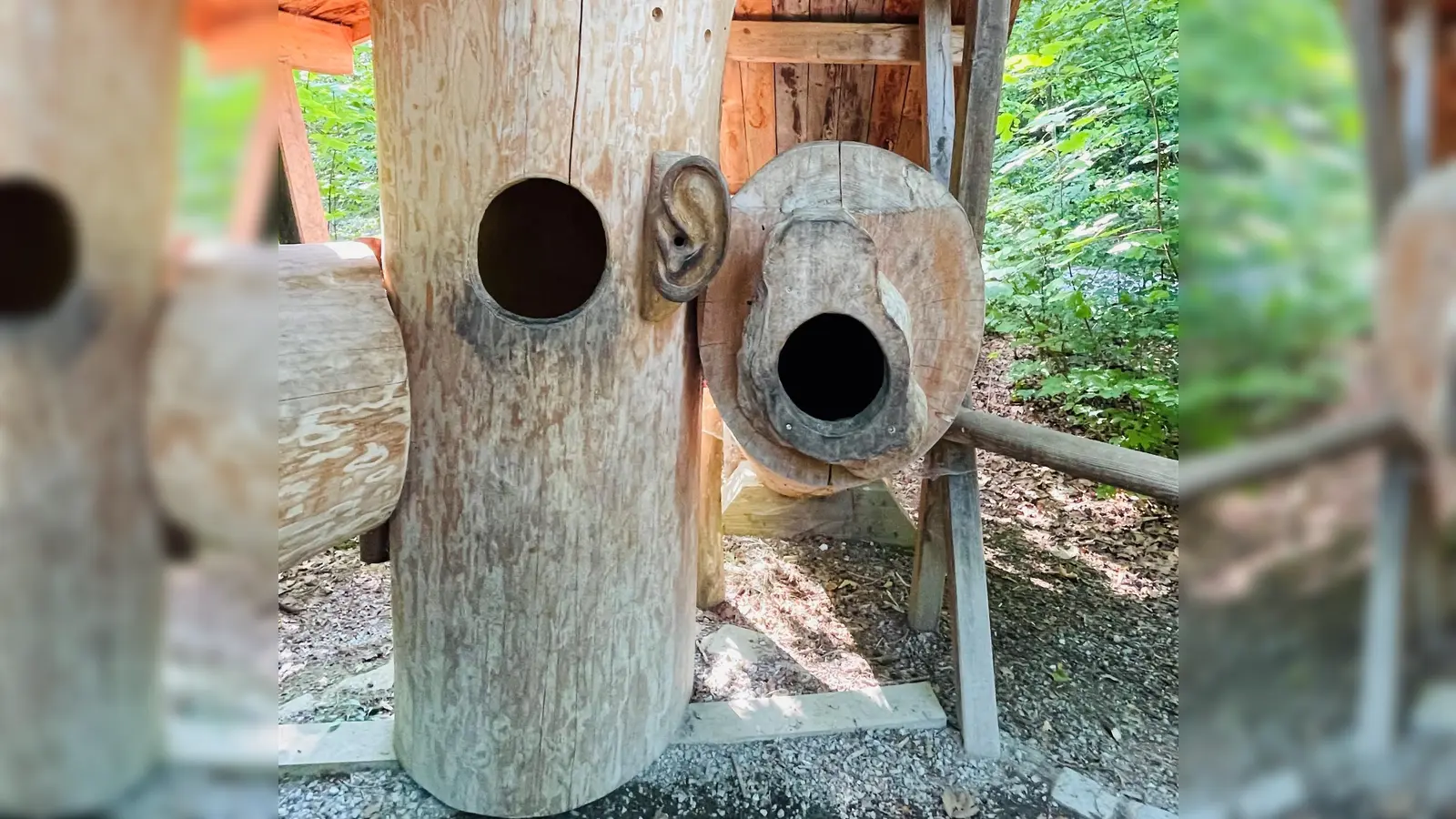 Die ausgehöhlten Baumstämme ermöglichen faszinierende Hör-Erlebnisse. Ausprobieren erwünscht. (Foto: hw)