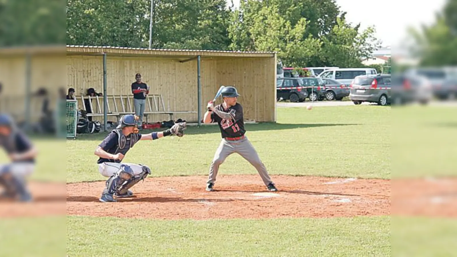 Die Schwaiger Baseballer bleiben auf der Erfolgsspur: Gegen Ingolstadt gab es zwei Siege.  (Foto: Verein)