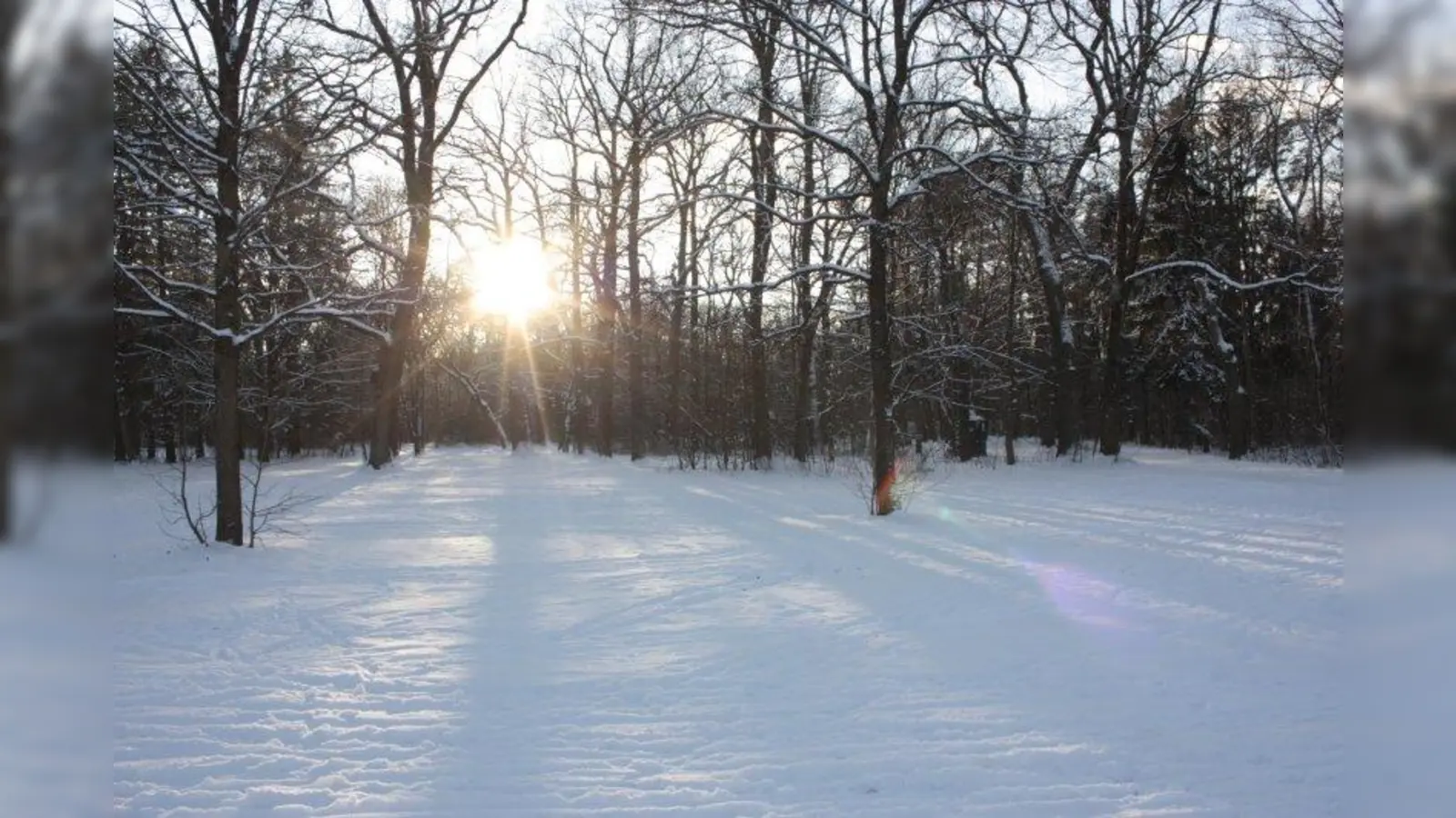 Schneeflocken statt Sandkörner: Winter im Südpark. (Foto: job)