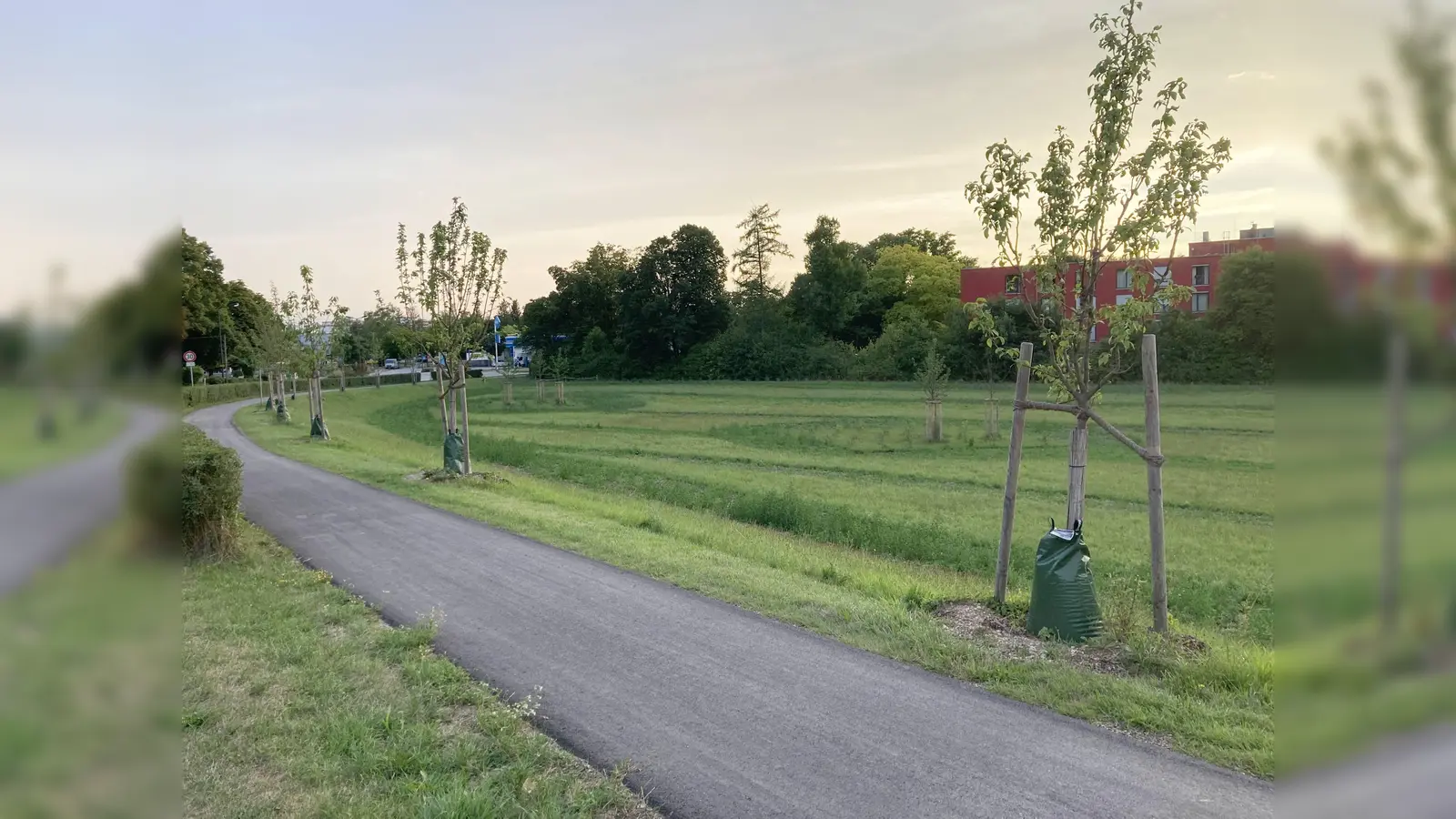 Ausgleichsmaßnahmen am Gockelberg (Foto: Dagmar Digmayer)