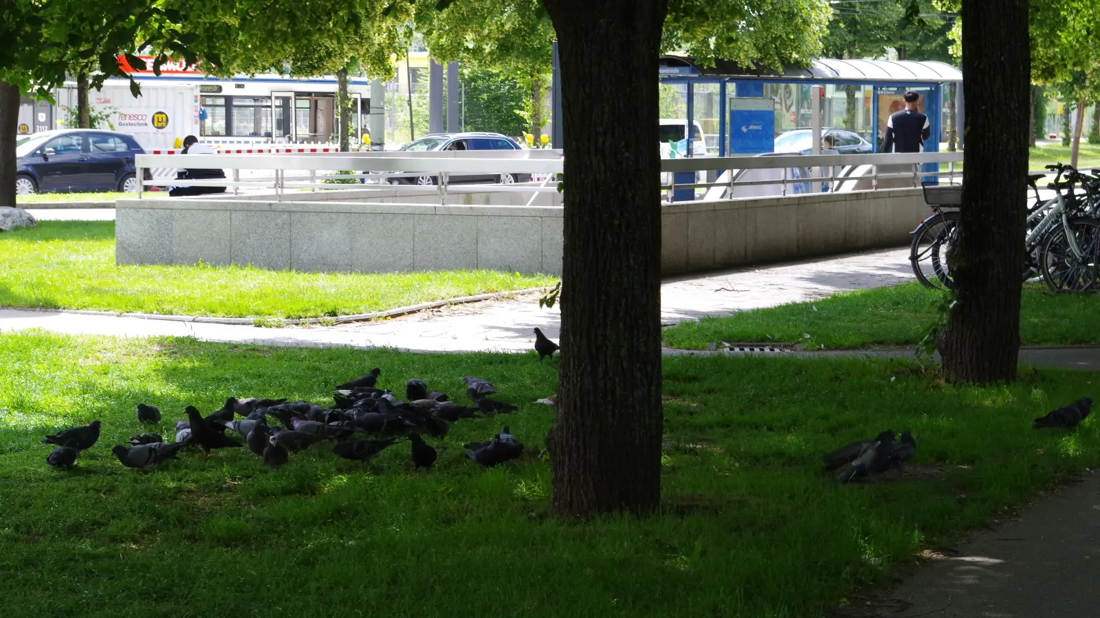 An der U-Bahnstation „Westendstraße“ werden - zum Ärgernis zahlreicher Bürger - regelmäßig Tauben gefüttert. (Foto: Beatrix Köber)