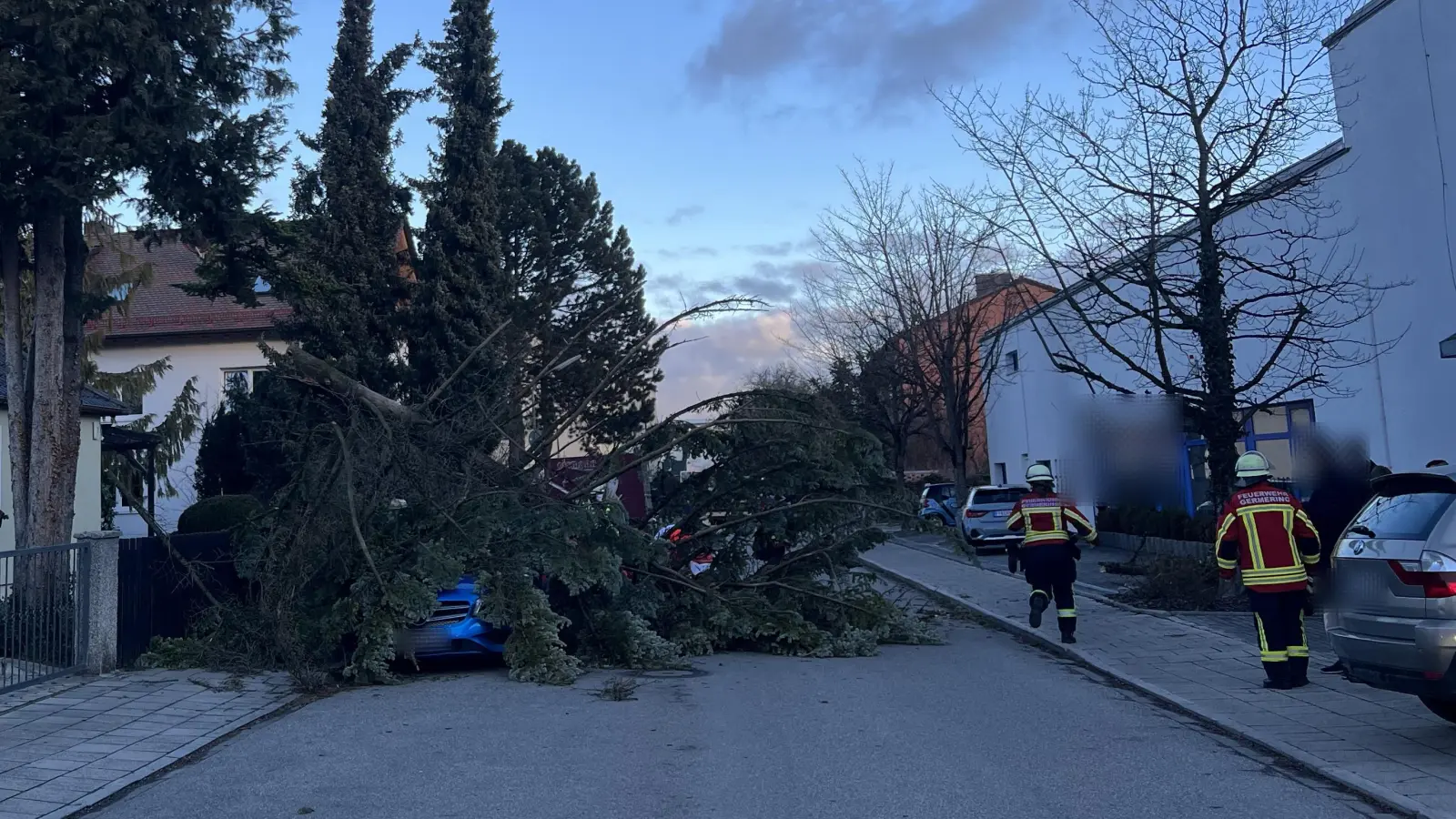 Der umstürzende Baum begrub einen Mann, der gerade in seinen PKW einsteigen wollte, unter sich. Eine Passantin fand den Mann bewusstlos vor und alarmierte Rettungsdienst und Feuerwehr.  (Foto: Feuerwehr Germering)