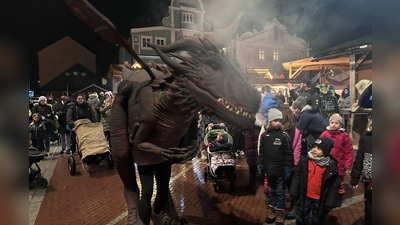 Die mystischen Wesen sind los. Eindrücke aus dem Wintermärchenmarkt 2025. (Foto: Kolmikov)