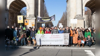 Mit dem Galgomarsch wird auf das Leid der Wind- und Jagdhunde aufmerksam gemacht. (Foto: Tierschutzverein München e.V.)