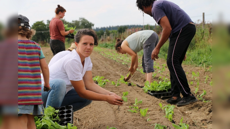 Die Solawi beliefert seit kurzem auch Waldperlach mit ihren Produkten.  (Foto: Hedwig Unterhitzenberger)