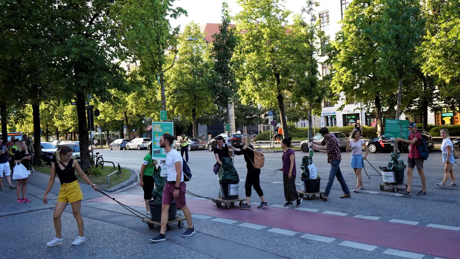 Im Sommer zog die Wanderbaumallee aus der Schwanthalerstraße in die Blutenburgstraße und brachte 15 Bäume mit. (Foto: Green City)