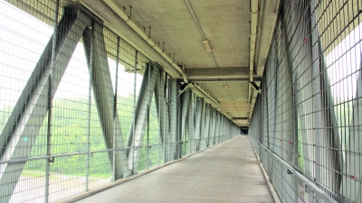 Von der Maximiliansbrücke im Lehel bis zur Großhesseloher Brücke (Foto) erstrecken sich die Gehölzpflege-Maßnahmen der Stadt. (Archivbild: job)