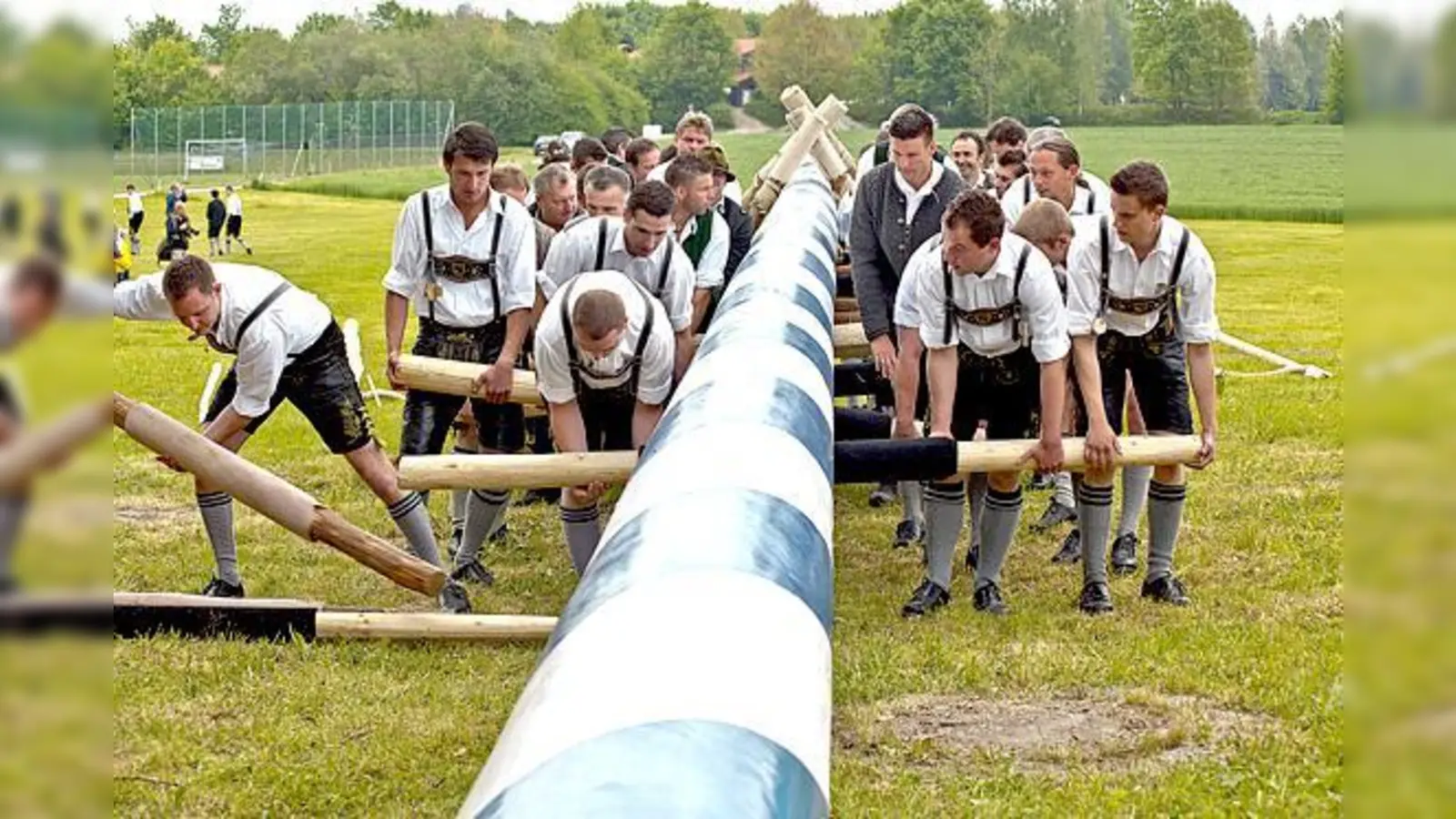 Ab 10 Uhr stellt der Burschenverein Egmating beim Gasthof Wallner ihren Maibaum auf. Natürlich traditionell mit Scherenstangen.	 (Foto: BV Egmating)