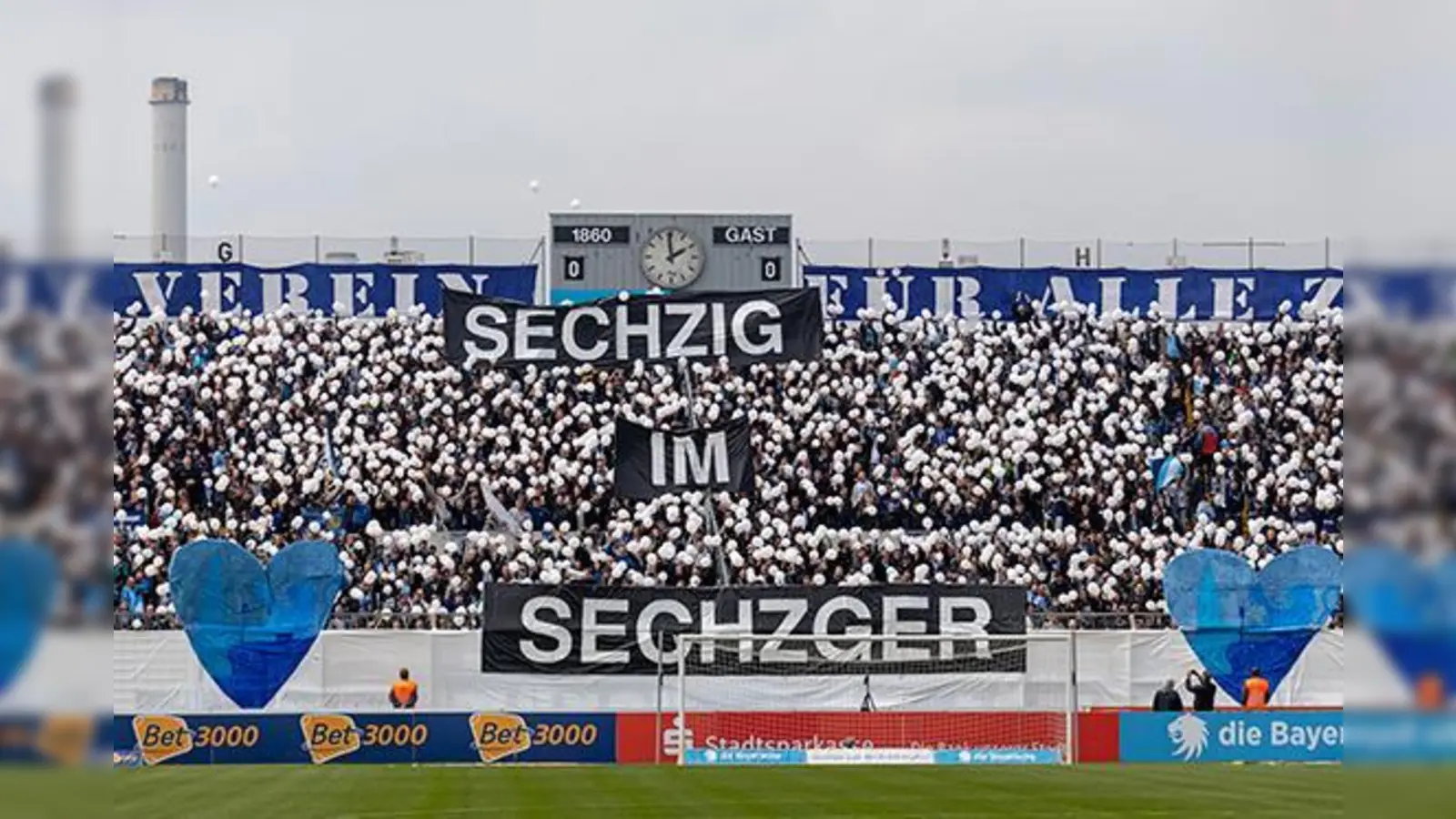 Gekommen um zu bleiben: Fans des TSV 1860 München in der Westkurve.  (Foto: Anne Wild)