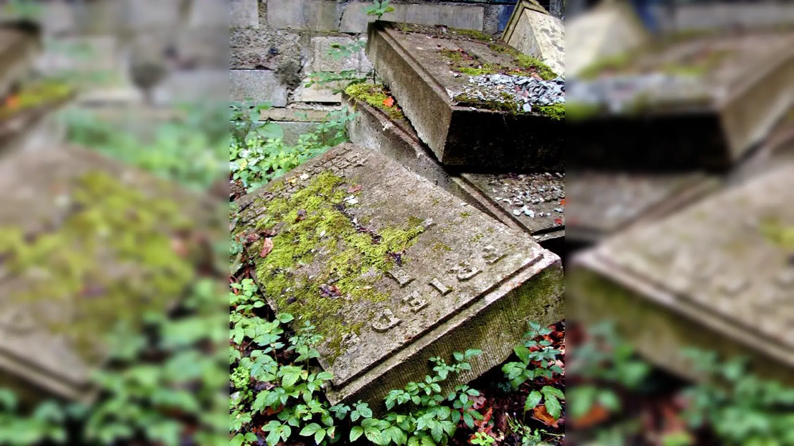 Wir sind vergänglich - unsere Gräber auch. Alte Grabsteine am Sollner Waldfriedhof ergeben sich dem Lauf der Zeit. (Foto: job)