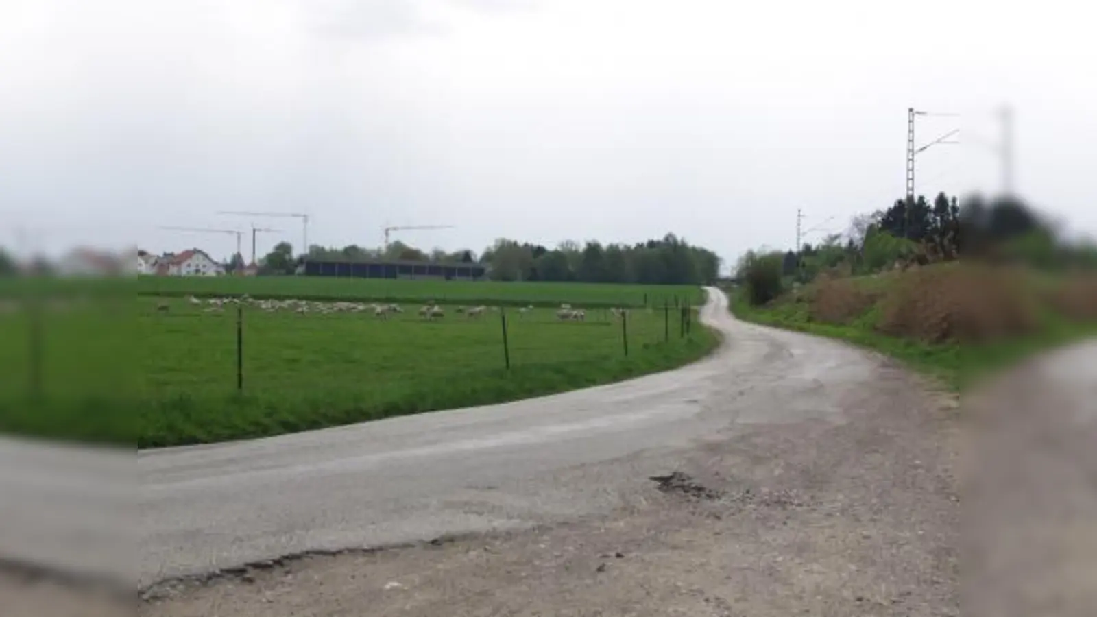 Was aussieht wie eine ländliche Idylle am Rande der Großstadt ist in Wirklichkeit eine äußerst gefährliche Radwegverbindung für Schüler zwischen Lochhausen und Gröbenzell. (Foto: Eva Schraft)