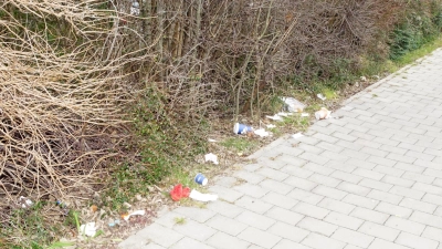 Diese Bilder könnte man in Freising durch eine Verpackungssteuer vermeiden. (Foto: bro)