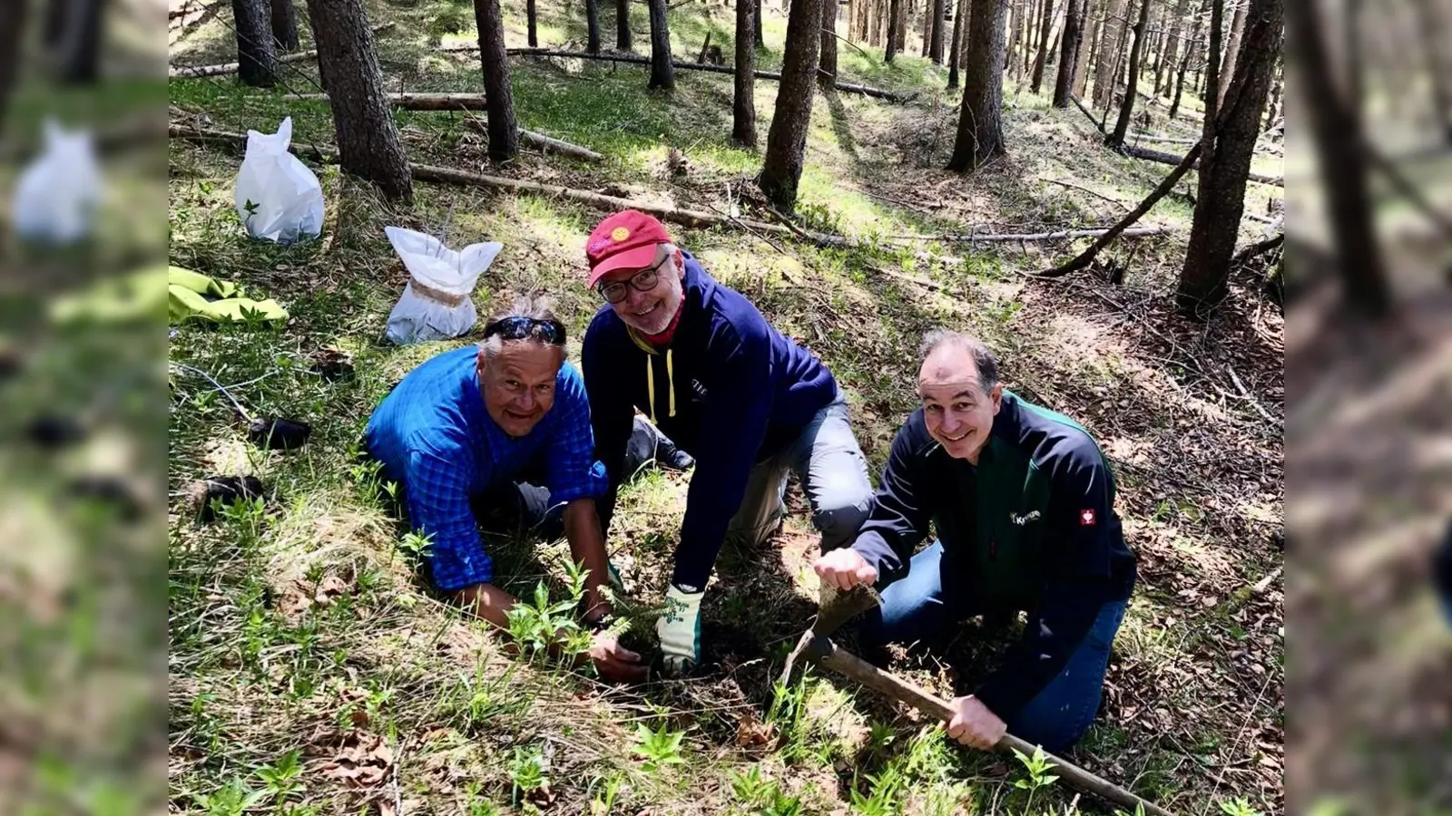 Pflanzten gemeinsam Bäume (von links): Dirk Rumberg, Dr. Reinhard Fritz und Bernd Krüger vom Rotary Club Gauting-Würmtal. (Foto: privat)