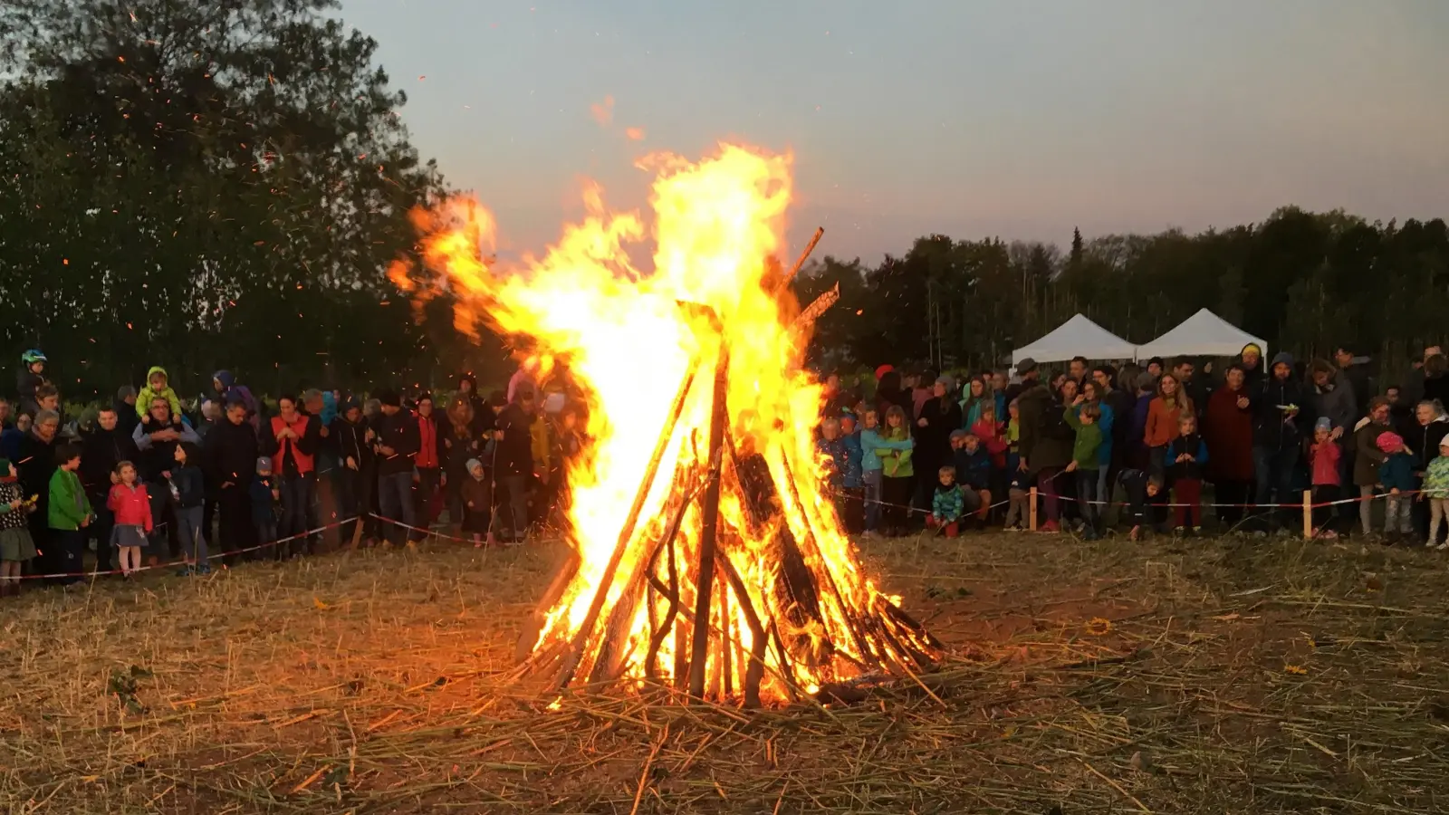 Die Grünen laden herzlich zum Kartoffelfeuer ein, heuer zum 11. Mal an der Baumschule (Willibaldstraße 70). (Foto: Grünen Ortsverband Westend/ Laim)