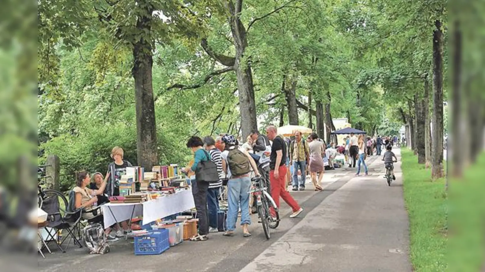 Der Bücherflohmarkt LISAR zieht jedes Mal zahlreiche Bücherfreunde an. Am Samstag findet der Flohmarkt schon zum 13. Mal statt.	 (Foto: VA)