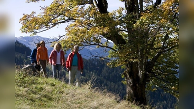 In Oberndorf lädt ein umfangreiches Rad- und Wanderwegenetz ein die Natur zu entdecken und neue Energie für den Alltag zu sammeln. (Foto: Hotel Lindner)