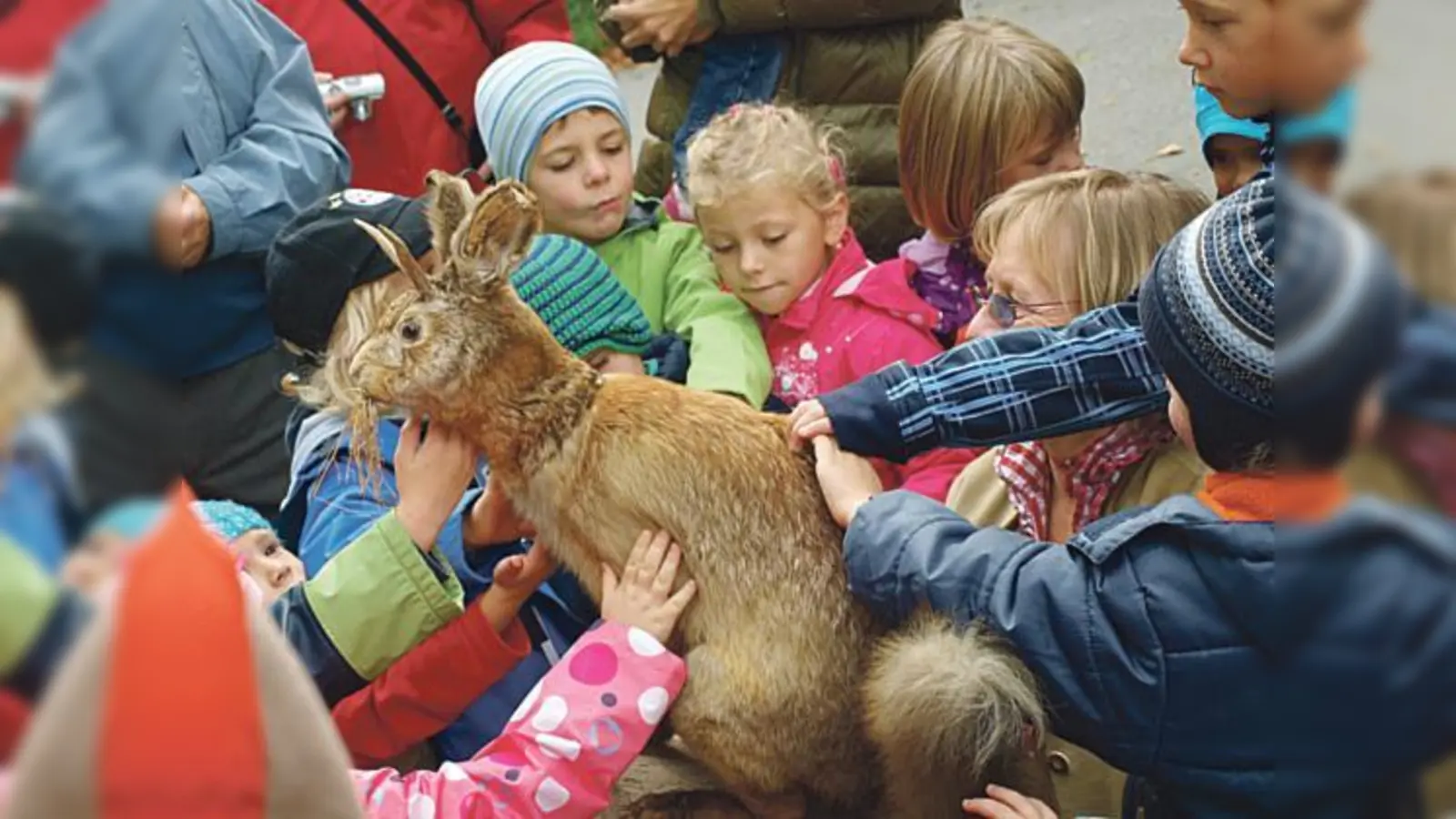 Der Wolpertiner-Umzug gefiel den Kindern  vor allem, als das Geheimnis gelüftet war.  (Foto: VA)